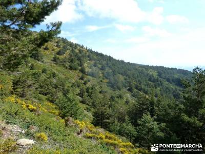 Lagunas de Pelañara-Peña Cítores- Guadarrama; excursiones y senderismo,grupo de senderismo madrid